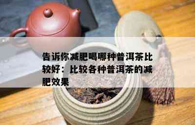 告诉你减肥喝哪种普洱茶比较好：比较各种普洱茶的减肥效果