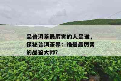 品普洱茶最厉害的人是谁，探秘普洱茶界：谁是最厉害的品鉴大师？