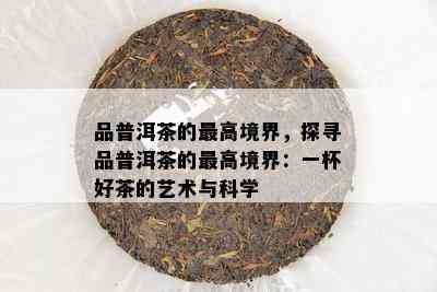 品普洱茶的更高境界，探寻品普洱茶的更高境界：一杯好茶的艺术与科学