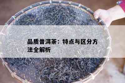 品质普洱茶：特点与区分方法全解析