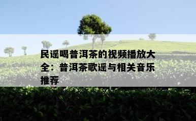 民谣喝普洱茶的视频播放大全：普洱茶歌谣与相关音乐推荐