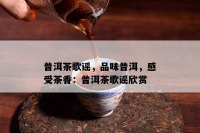 普洱茶歌谣，品味普洱，感受茶香：普洱茶歌谣欣赏