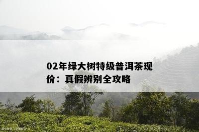 02年绿大树特级普洱茶现价：真假辨别全攻略