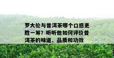 罗大伦与普洱茶哪个口感更胜一筹？听听他如何评价普洱茶的味道、品质和功效