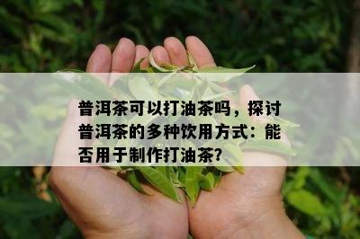 普洱茶可以打油茶吗，探讨普洱茶的多种饮用方式：能否用于制作打油茶？