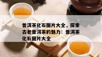 普洱茶化石图片大全，探索古老普洱茶的魅力：普洱茶化石图片大全