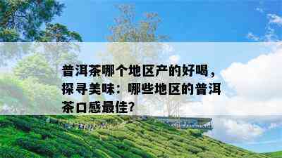 普洱茶哪个地区产的好喝，探寻美味：哪些地区的普洱茶口感更佳？