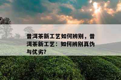 普洱茶新工艺如何辨别，普洱茶新工艺：如何辨别真伪与优劣？