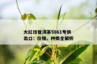 大红印普洱茶5861专供出口：价格、种类全解析