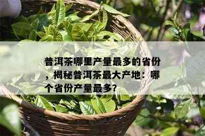 普洱茶哪里产量最多的省份，揭秘普洱茶更大产地：哪个省份产量最多？