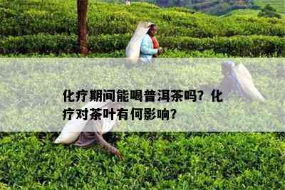 化疗期间能喝普洱茶吗？化疗对茶叶有何影响？