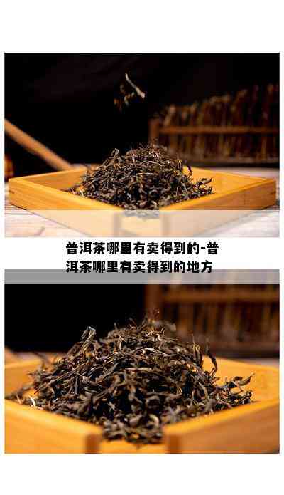 普洱茶哪里有卖得到的-普洱茶哪里有卖得到的地方