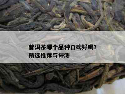 普洱茶哪个品种口碑好喝？精选推荐与评测