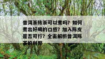 普洱茶陈茶可以煮吗？如何煮出好喝的口感？加入陈皮是否可行？全面解析普洱陈茶的利弊