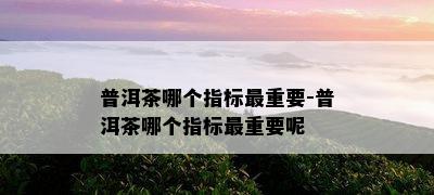 普洱茶哪个指标最重要-普洱茶哪个指标最重要呢