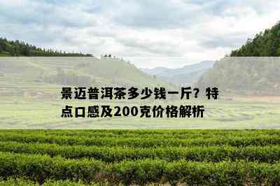 景迈普洱茶多少钱一斤？特点口感及200克价格解析