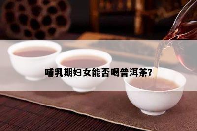 哺乳期妇女能否喝普洱茶？