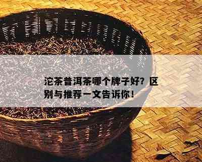 沱茶普洱茶哪个牌子好？区别与推荐一文告诉你！