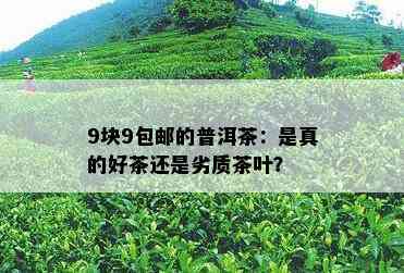 9块9包邮的普洱茶：是真的好茶还是劣质茶叶？