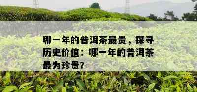 哪一年的普洱茶最贵，探寻历史价值：哪一年的普洱茶最为珍贵？