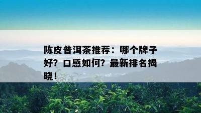 陈皮普洱茶推荐：哪个牌子好？口感如何？最新排名揭晓！