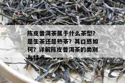 陈皮普洱茶属于什么茶型？是生茶还是熟茶？其口感如何？详解陈皮普洱茶的类别与特点