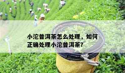 小沱普洱茶怎么处理，如何正确处理小沱普洱茶？