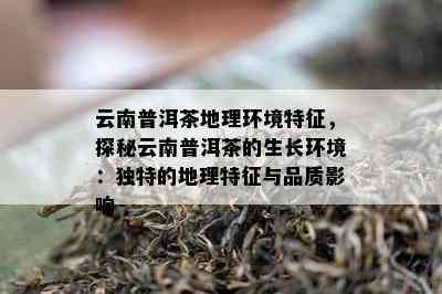 云南普洱茶地理环境特征，探秘云南普洱茶的生长环境：独特的地理特征与品质影响