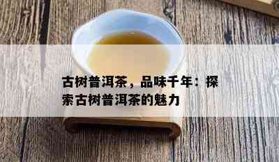 古树普洱茶，品味千年：探索古树普洱茶的魅力