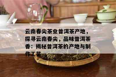 云南春尖茶业普洱茶产地，探寻云南春尖，品味普洱茶香：揭秘普洱茶的产地与制作工艺