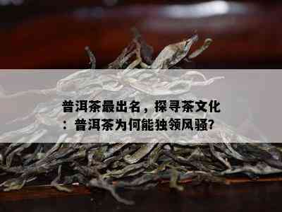 普洱茶最出名，探寻茶文化：普洱茶为何能独领 *** ？