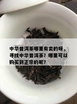 中华普洱茶哪里有卖的呀，寻找中华普洱茶？哪里可以购买到正宗的呢？