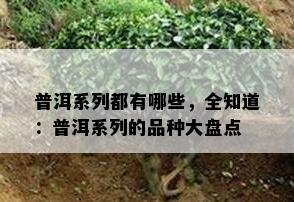 普洱系列都有哪些，全知道：普洱系列的品种大盘点