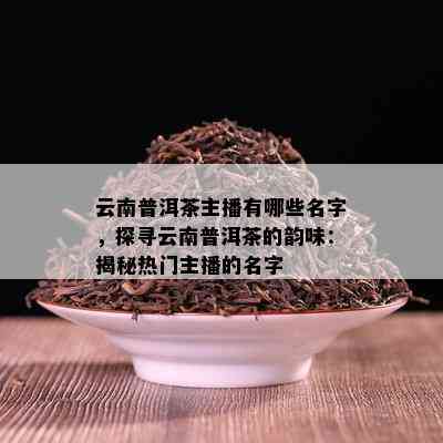 云南普洱茶主播有哪些名字，探寻云南普洱茶的韵味：揭秘热门主播的名字