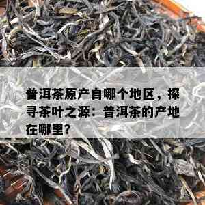 普洱茶原产自哪个地区，探寻茶叶之源：普洱茶的产地在哪里？