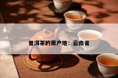 普洱茶的原产地：云南省