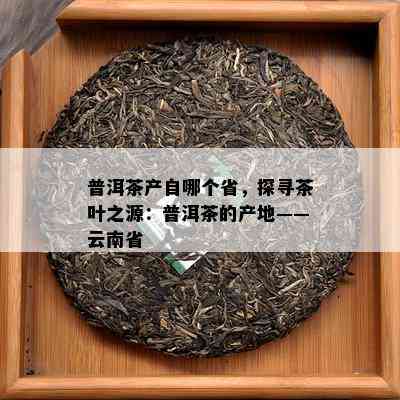 普洱茶产自哪个省，探寻茶叶之源：普洱茶的产地——云南省