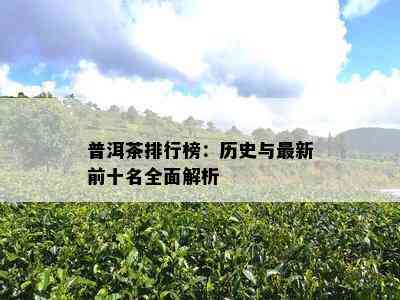 普洱茶排行榜：历史与最新前十名全面解析