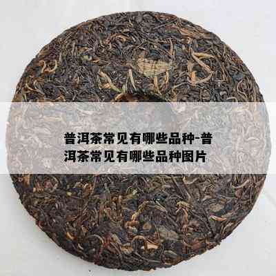 普洱茶常见有哪些品种-普洱茶常见有哪些品种图片