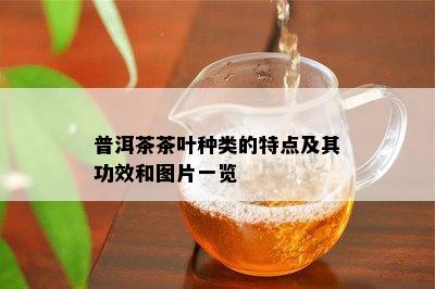 普洱茶茶叶种类的特点及其功效和图片一览