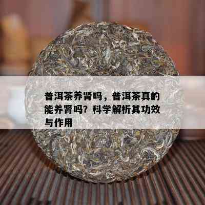 普洱茶养肾吗，普洱茶真的能养肾吗？科学解析其功效与作用