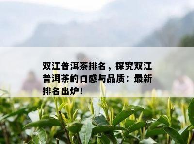 双江普洱茶排名，探究双江普洱茶的口感与品质：最新排名出炉！