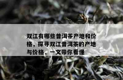 双江有哪些普洱茶产地和价格，探寻双江普洱茶的产地与价格，一文带你看懂