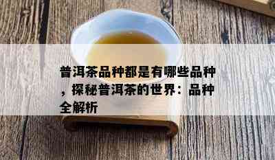 普洱茶品种都是有哪些品种，探秘普洱茶的世界：品种全解析