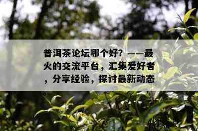 普洱茶论坛哪个好？——最火的交流平台，汇集爱好者，分享经验，探讨最新动态。