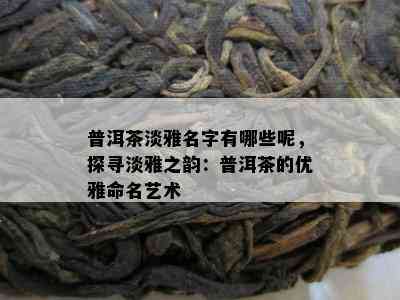 普洱茶淡雅名字有哪些呢，探寻淡雅之韵：普洱茶的优雅命名艺术