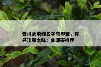 普洱茶淡雅名字有哪些，探寻淡雅之味：普洱茶推荐