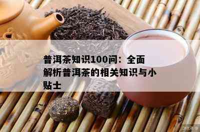 普洱茶知识100问：全面解析普洱茶的相关知识与小贴士