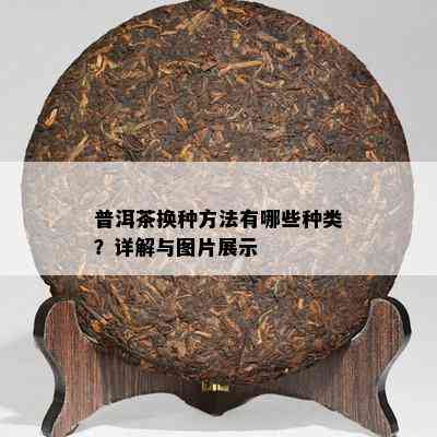 普洱茶换种方法有哪些种类？详解与图片展示