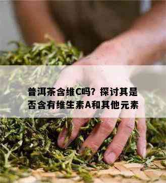 普洱茶含维C吗？探讨其是否含有维生素A和其他元素